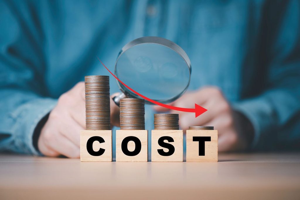 CMMI Level 3 Certification Cost in India