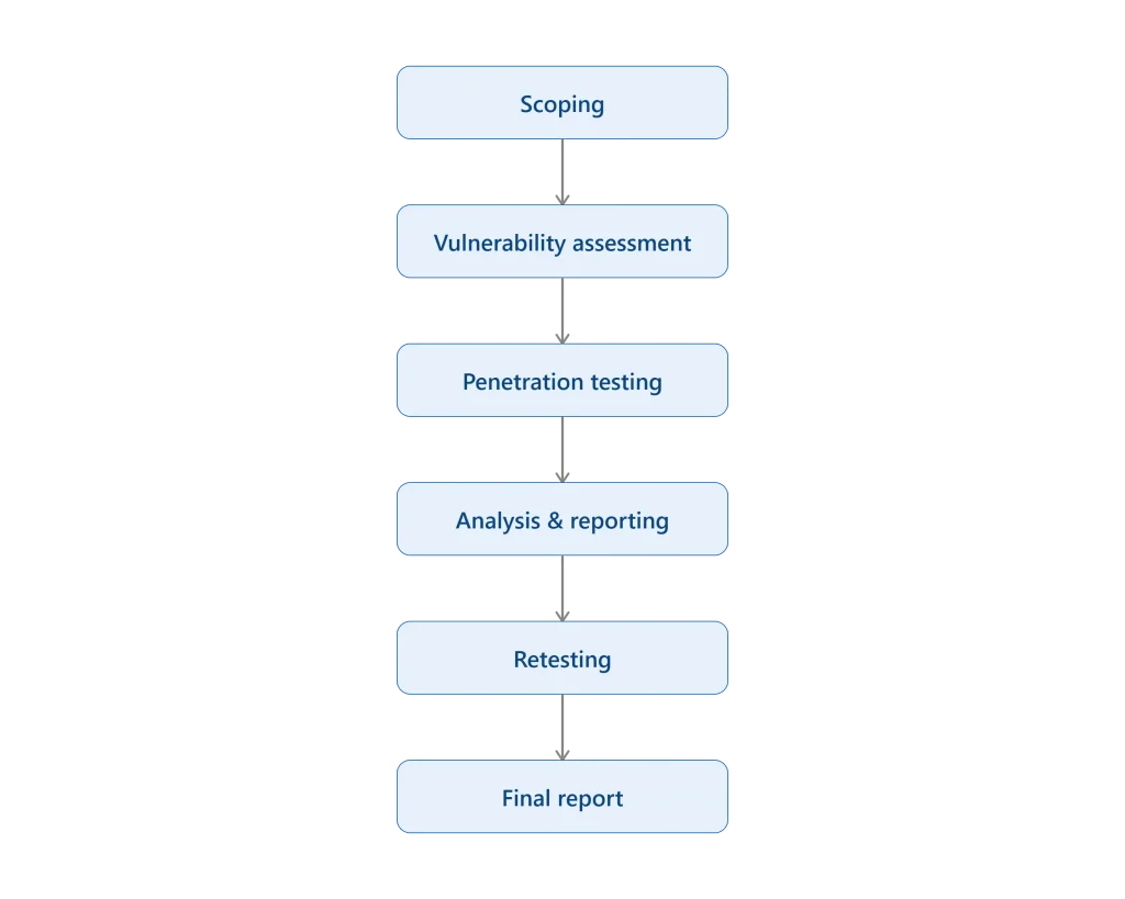 VAPT services